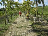 Chianti-1 2016 - 052.jpg